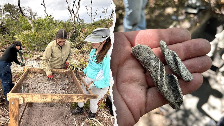 Ancient artifacts found beneath Cape Canaveral Space Force Station as one mystery still stumps researchers Accountant Find