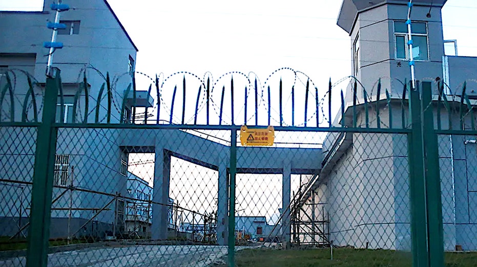Mother recounts horrors of brutal Chinese detention camp where infant son died Accountant Find